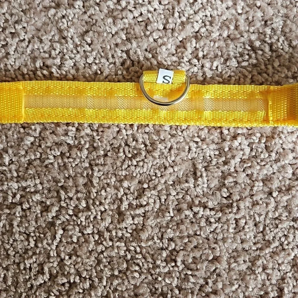 NWOT Glow in the dark LED dog collar